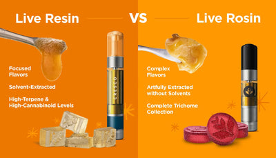 THCA Live Resin vs THCA Live Rosin
