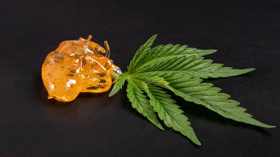 The Dab Decoder: THCA Rosin vs Resin vs Badder vs Diamonds vs Wax